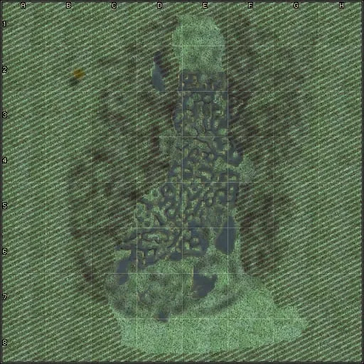 Swamps Of Dagobah