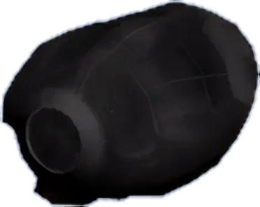 Escape Pods